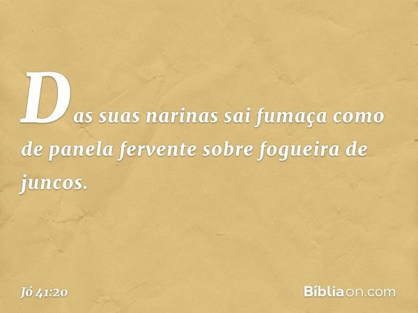 Das suas narinas sai fumaça
como de panela fervente
sobre fogueira de juncos. -- Jó 41:20