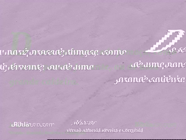 Do seu nariz procede fumaça, como de uma panela fervente, ou de uma grande caldeira.