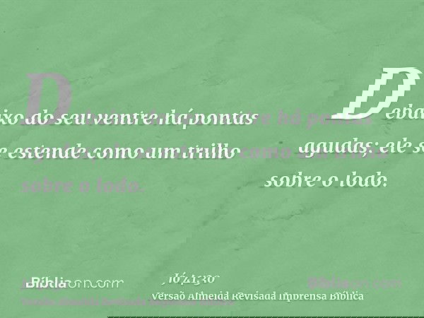 Debaixo do seu ventre há pontas agudas; ele se estende como um trilho sobre o lodo.