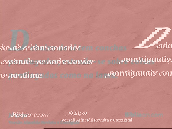 Debaixo de si tem conchas pontiagudas; estende-se sobre coisas pontiagudas como na lama.