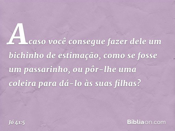 Acaso você consegue fazer dele
um bichinho de estimação,
como se fosse um passarinho,
ou pôr-lhe uma coleira
para dá-lo às suas filhas? -- Jó 41:5