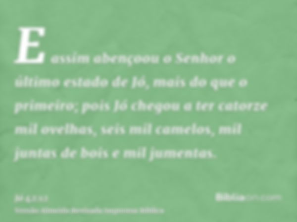 E assim abençoou o Senhor o último estado de Jó, mais do que o primeiro; pois Jó chegou a ter catorze mil ovelhas, seis mil camelos, mil juntas de bois e mil ju