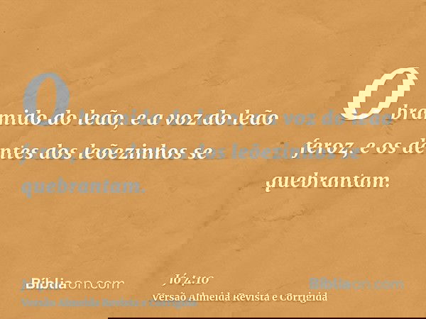 O bramido do leão, e a voz do leão feroz, e os dentes dos leõezinhos se quebrantam.