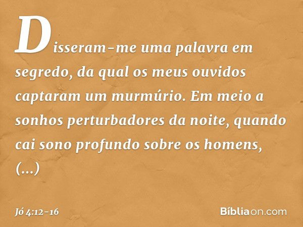 "Disseram-me uma palavra
em segredo,
da qual os meus ouvidos
captaram um murmúrio. Em meio a sonhos perturbadores da noite,
quando cai sono profundo
sobre os ho