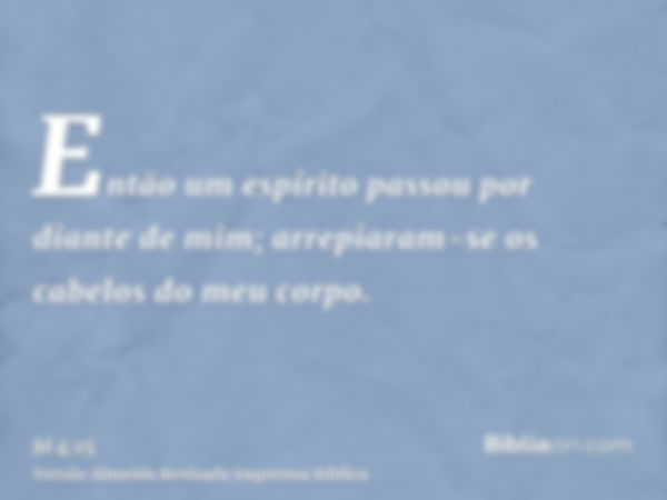 Então um espírito passou por diante de mim; arrepiaram-se os cabelos do meu corpo.