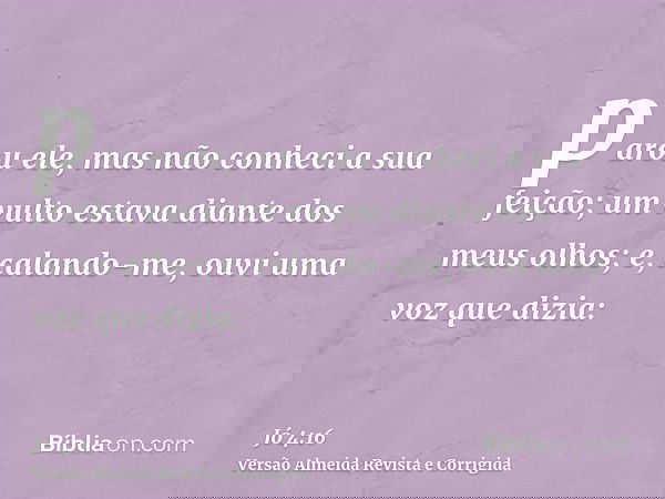 parou ele, mas não conheci a sua feição; um vulto estava diante dos meus olhos; e, calando-me, ouvi uma voz que dizia: