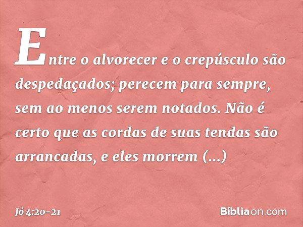 Entre o alvorecer e o crepúsculo
são despedaçados;
perecem para sempre,
sem ao menos serem notados. Não é certo que as cordas
de suas tendas
são arrancadas,
e e