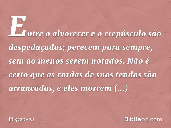 Entre o alvorecer e o crepúsculo
são despedaçados;
perecem para sempre,
sem ao menos serem notados. Não é certo que as cordas
de suas tendas
são arrancadas,
e e