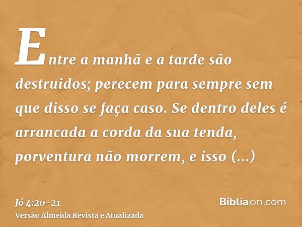 Entre a manhã e a tarde são destruidos; perecem para sempre sem que disso se faça caso.Se dentro deles é arrancada a corda da sua tenda, porventura não morrem, 