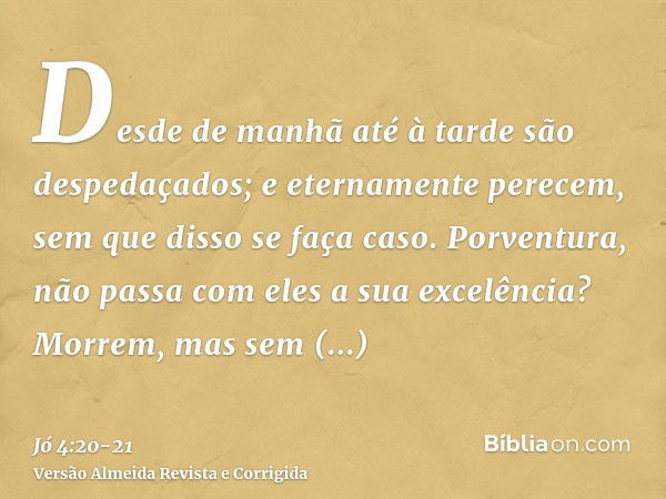 Desde de manhã até à tarde são despedaçados; e eternamente perecem, sem que disso se faça caso.Porventura, não passa com eles a sua excelência? Morrem, mas sem 