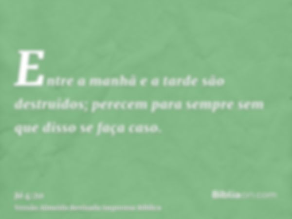 Entre a manhã e a tarde são destruidos; perecem para sempre sem que disso se faça caso.