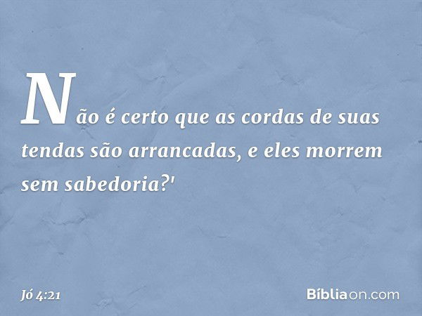 Não é certo que as cordas
de suas tendas
são arrancadas,
e eles morrem sem sabedoria?' -- Jó 4:21