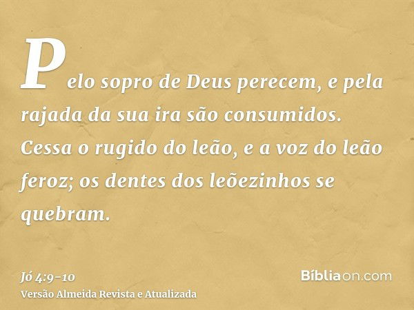 Pelo sopro de Deus perecem, e pela rajada da sua ira são consumidos.Cessa o rugido do leão, e a voz do leão feroz; os dentes dos leõezinhos se quebram.