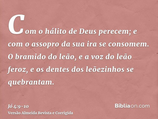 Com o hálito de Deus perecem; e com o assopro da sua ira se consomem.O bramido do leão, e a voz do leão feroz, e os dentes dos leõezinhos se quebrantam.