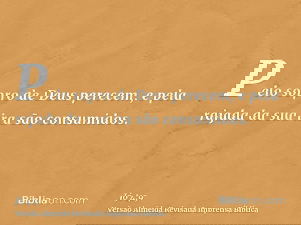 Pelo sopro de Deus perecem, e pela rajada da sua ira são consumidos.