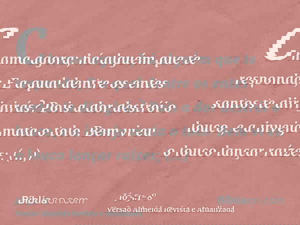 Chama agora; há alguém que te responda; E a qual dentre os entes santos te dirigirás?Pois a dor destrói o louco, e a inveja mata o tolo.Bem vi eu o louco lançar