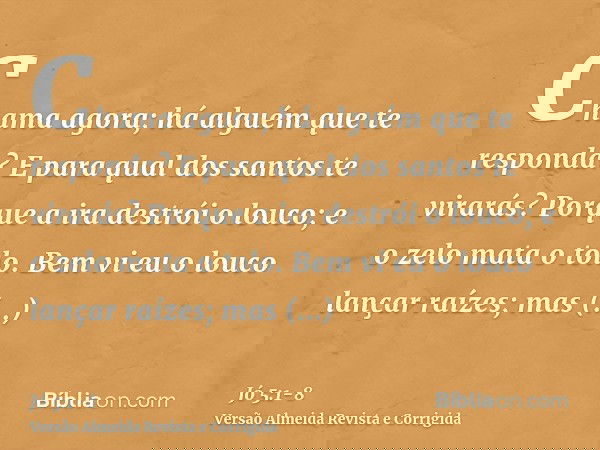 Chama agora; há alguém que te responda? E para qual dos santos te virarás?Porque a ira destrói o louco; e o zelo mata o tolo.Bem vi eu o louco lançar raízes; ma