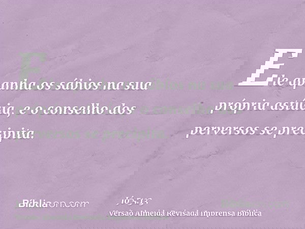 Ele apanha os sábios na sua própria astúcia, e o conselho dos perversos se precipita.