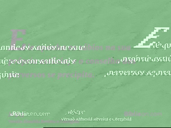 Ele apanha os sábios na sua própria astúcia; e o conselho dos perversos se precipita.