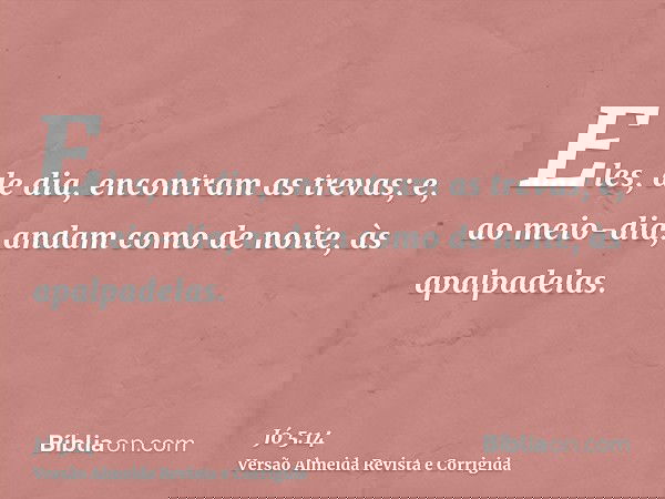 Eles, de dia, encontram as trevas; e, ao meio-dia, andam como de noite, às apalpadelas.