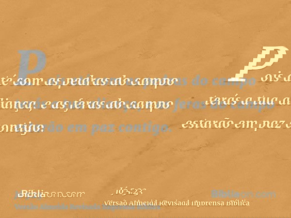 Pois até com as pedras do campo terás a tua aliança, e as feras do campo estarão em paz contigo.