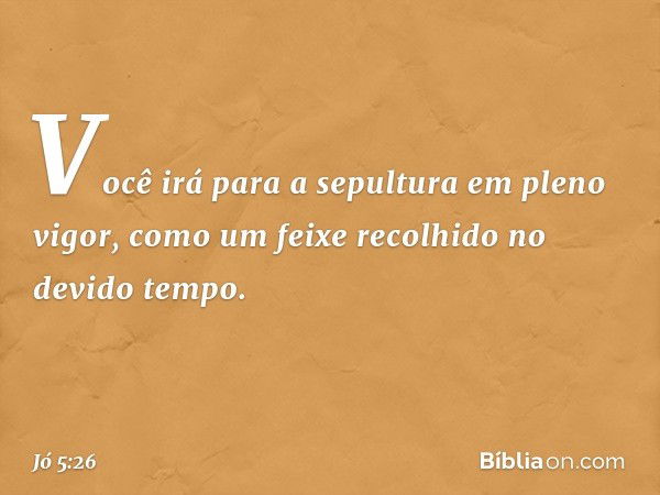 Você irá para a sepultura
em pleno vigor,
como um feixe recolhido
no devido tempo. -- Jó 5:26