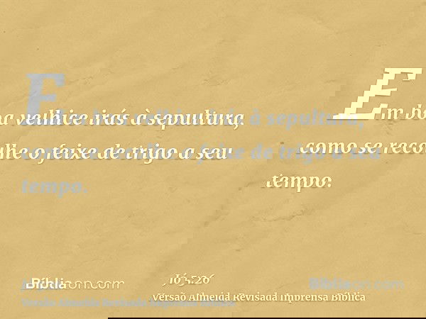 Em boa velhice irás à sepultura, como se recolhe o feixe de trigo a seu tempo.