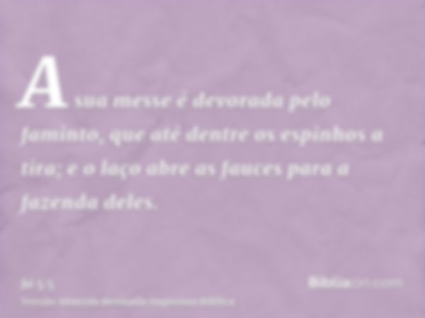 A sua messe é devorada pelo faminto, que até dentre os espinhos a tira; e o laço abre as fauces para a fazenda deles.