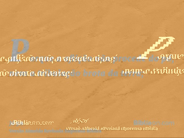 Porque a aflição não procede do pó, nem a tribulação brota da terra;