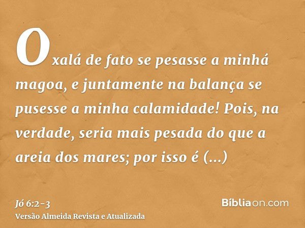 Oxalá de fato se pesasse a minhá magoa, e juntamente na balança se pusesse a minha calamidade!Pois, na verdade, seria mais pesada do que a areia dos mares; por 