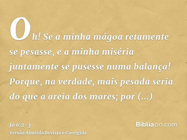 Oh! Se a minha mágoa retamente se pesasse, e a minha miséria juntamente se pusesse numa balança!Porque, na verdade, mais pesada seria do que a areia dos mares; 