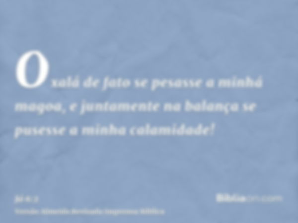 Oxalá de fato se pesasse a minhá magoa, e juntamente na balança se pusesse a minha calamidade!