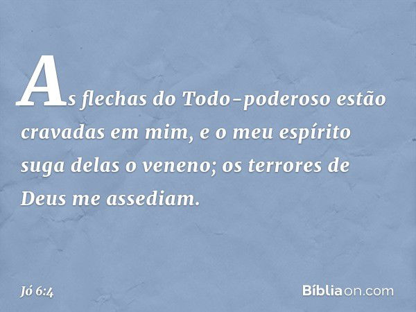 As flechas do Todo-poderoso
estão cravadas em mim,
e o meu espírito suga delas o veneno;
os terrores de Deus
me assediam. -- Jó 6:4