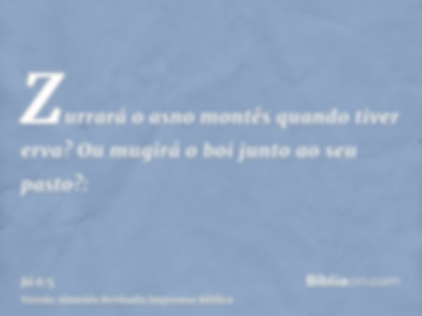 Zurrará o asno montês quando tiver erva? Ou mugirá o boi junto ao seu pasto?: