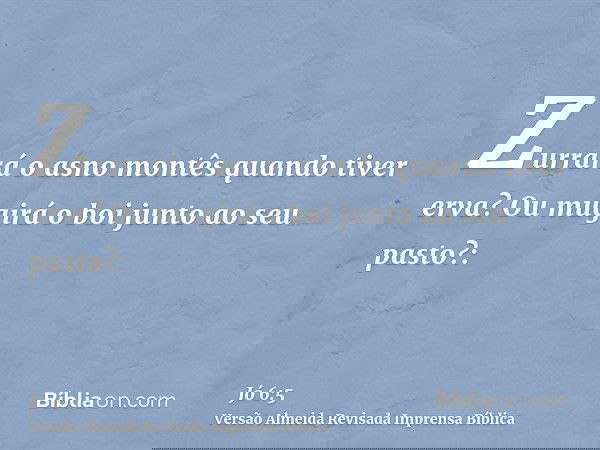 Zurrará o asno montês quando tiver erva? Ou mugirá o boi junto ao seu pasto?: