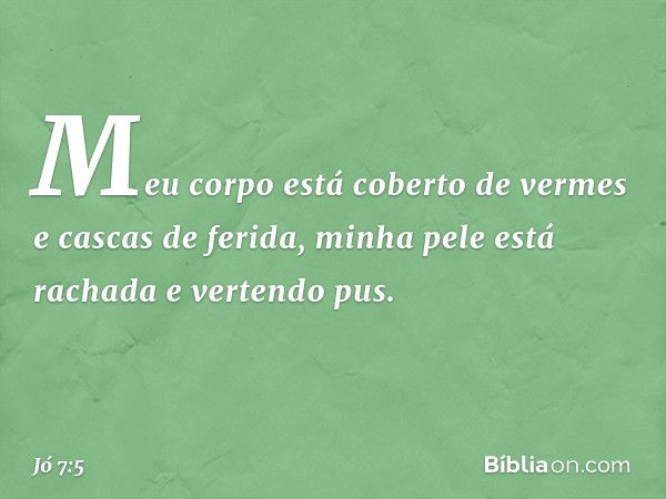 Meu corpo está coberto de vermes
e cascas de ferida,
minha pele está rachada
e vertendo pus. -- Jó 7:5