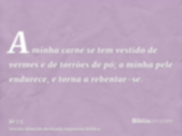 A minha carne se tem vestido de vermes e de torrões de pó; a minha pele endurece, e torna a rebentar-se.