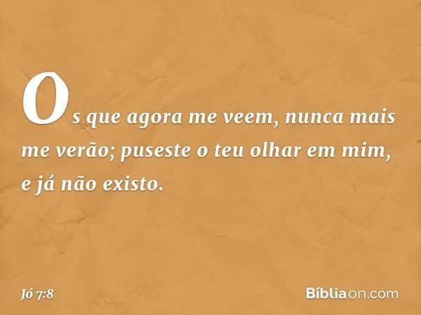 Os que agora me veem,
nunca mais me verão;
puseste o teu olhar em mim,
e já não existo. -- Jó 7:8