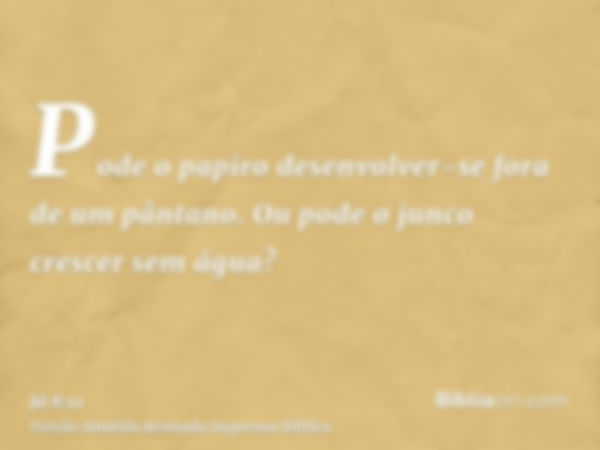 Pode o papiro desenvolver-se fora de um pântano. Ou pode o junco crescer sem água?