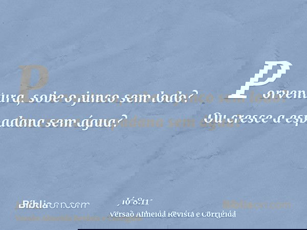 Porventura, sobe o junco sem lodo? Ou cresce a espadana sem água?