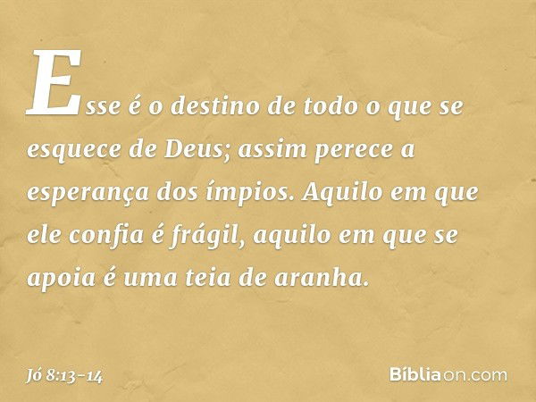 Esse é o destino
de todo o que se esquece de Deus;
assim perece a esperança dos ímpios. Aquilo em que ele confia é frágil,
aquilo em que se apoia
é uma teia de 