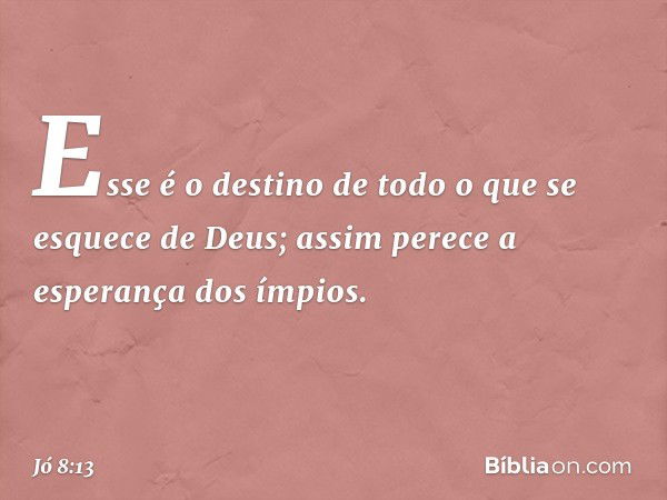 Esse é o destino
de todo o que se esquece de Deus;
assim perece a esperança dos ímpios. -- Jó 8:13