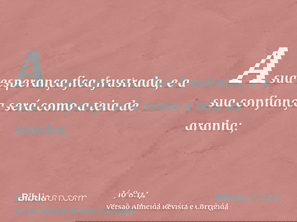 A sua esperança fica frustrada, e a sua confiança será como a teia de aranha;