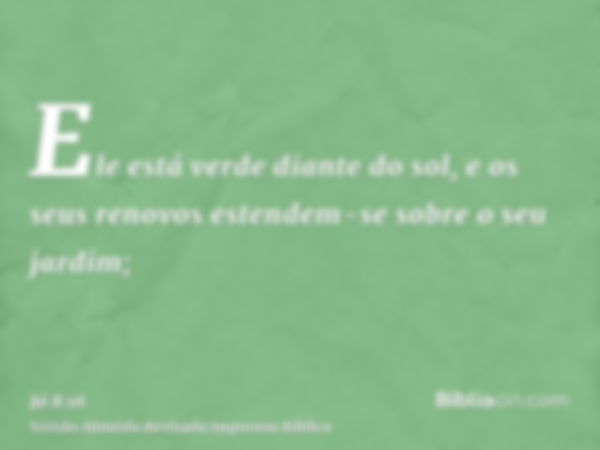 Ele está verde diante do sol, e os seus renovos estendem-se sobre o seu jardim;