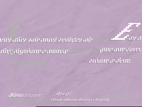 E os meus dias são mais velozes do que um corredor; fugiram e nunca viram o bem.