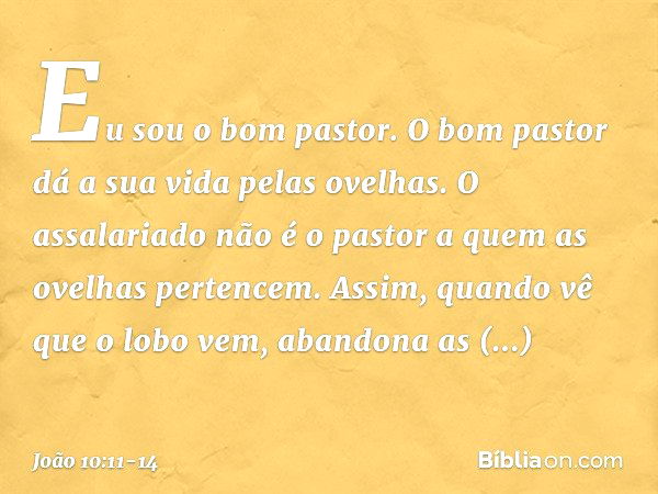 "Eu sou o bom pastor. O bom pastor dá a sua vida pelas ovelhas. O assalariado não é o pastor a quem as ovelhas pertencem. Assim, quando vê que o lobo vem, aband