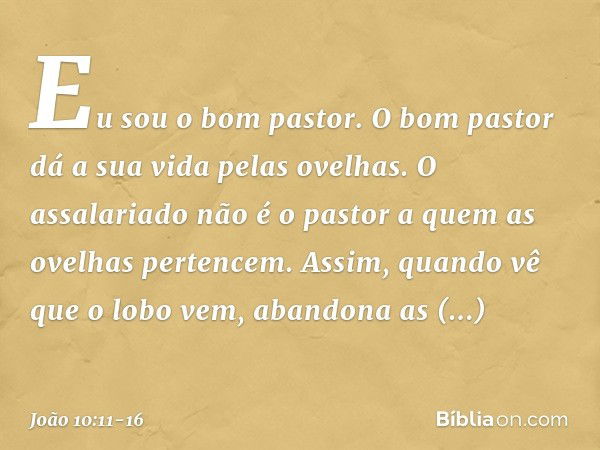 "Eu sou o bom pastor. O bom pastor dá a sua vida pelas ovelhas. O assalariado não é o pastor a quem as ovelhas pertencem. Assim, quando vê que o lobo vem, aband