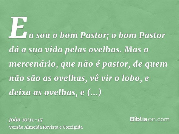 Eu sou o bom Pastor; o bom Pastor dá a sua vida pelas ovelhas.Mas o mercenário, que não é pastor, de quem não são as ovelhas, vê vir o lobo, e deixa as ovelhas,