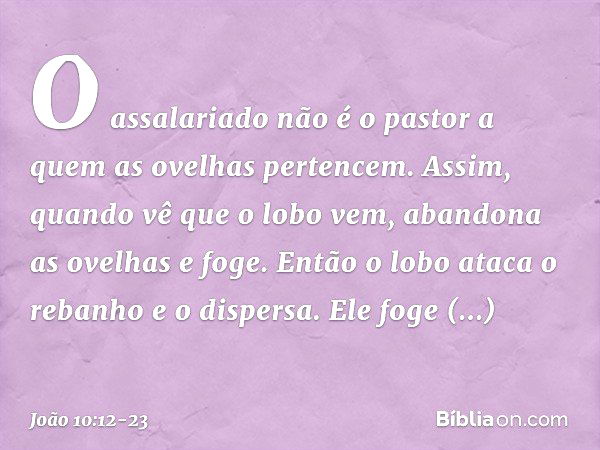 O assalariado não é o pastor a quem as ovelhas pertencem. Assim, quando vê que o lobo vem, abandona as ovelhas e foge. Então o lobo ataca o rebanho e o dispersa