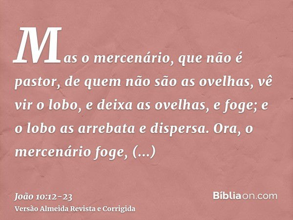 Mas o mercenário, que não é pastor, de quem não são as ovelhas, vê vir o lobo, e deixa as ovelhas, e foge; e o lobo as arrebata e dispersa.Ora, o mercenário fog